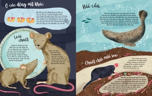 bảy giác quan phi thường - bìa cứng