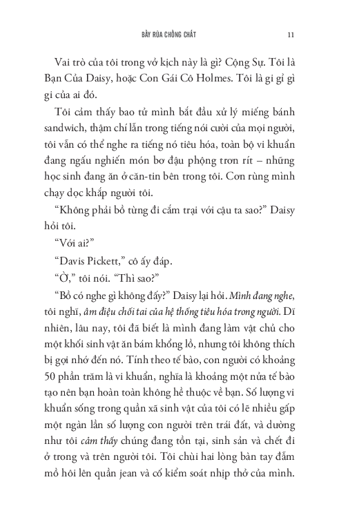 bầy rùa chồng chất - turtles all the way down