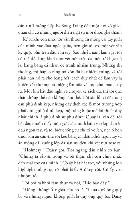 bầy rùa chồng chất - turtles all the way down
