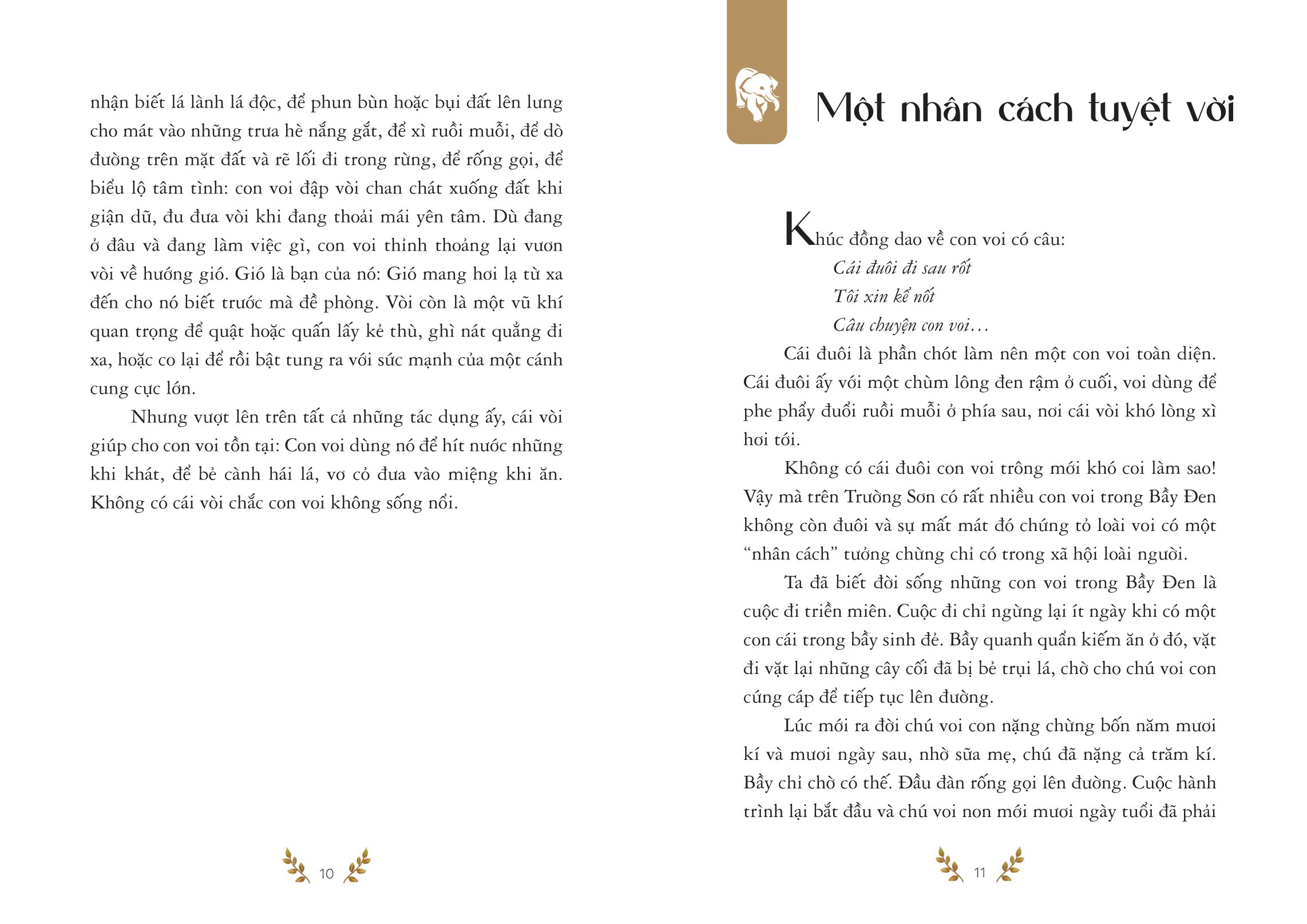 bầy voi đen (tái bản 2024)