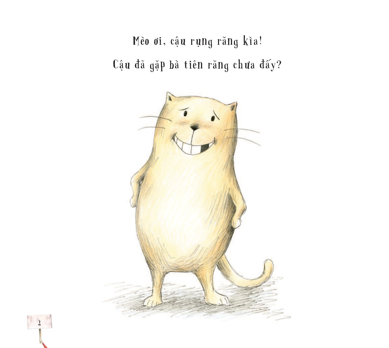 bé có muốn giúp mèo - gặp bà tiên răng?