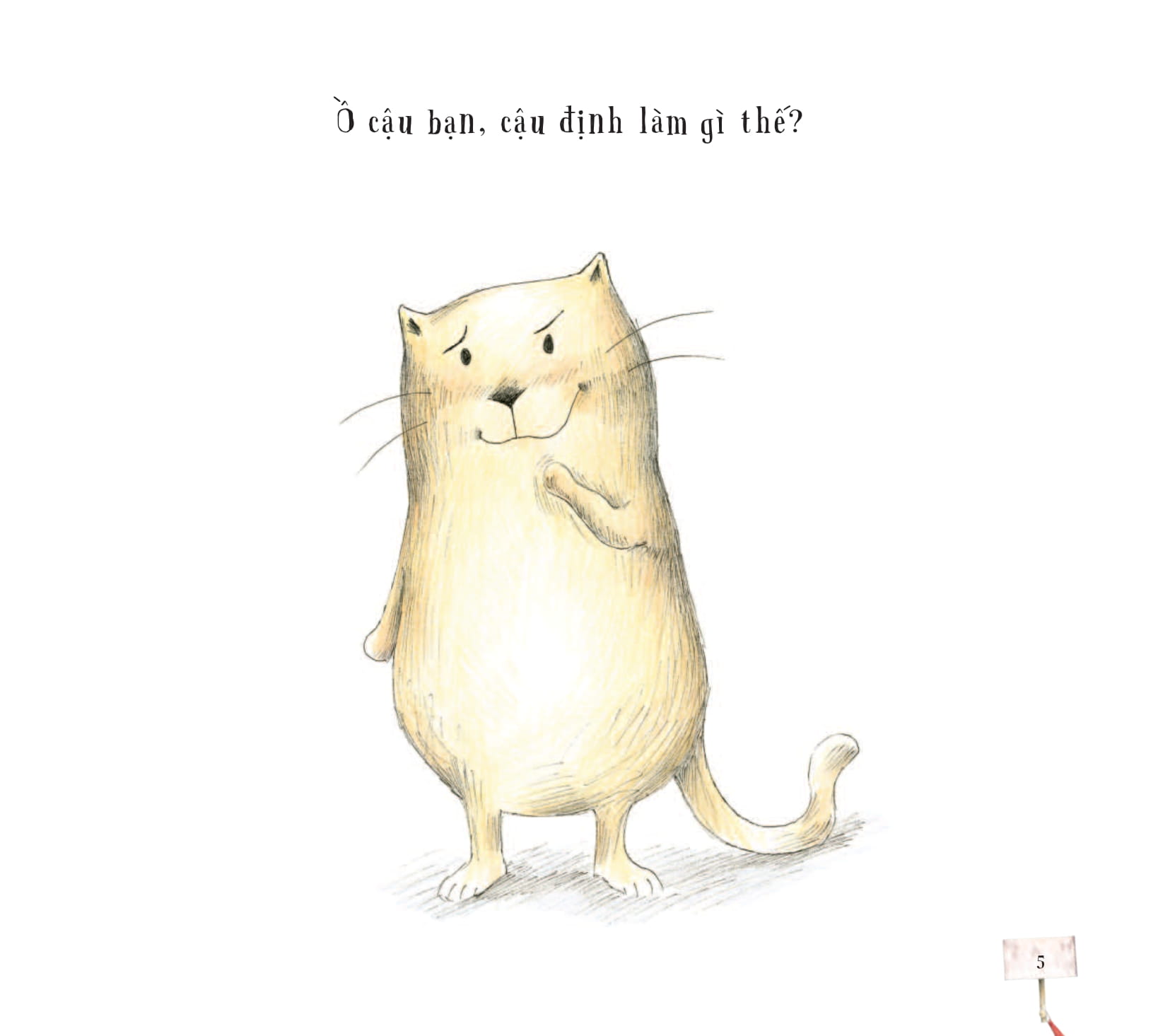 bé có muốn giúp mèo - gặp bà tiên răng?