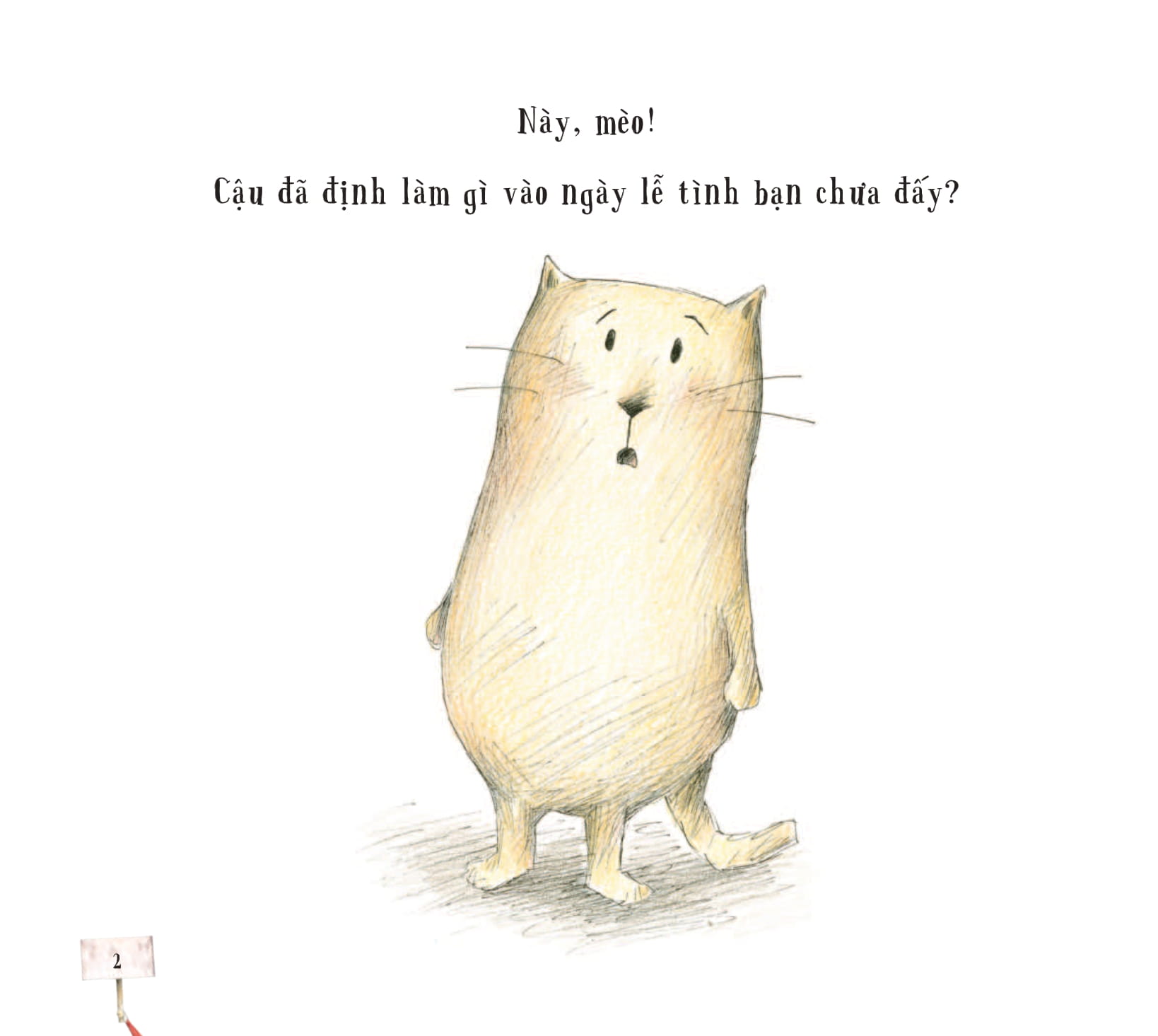 bé có muốn giúp mèo - kết thêm bạn mới?