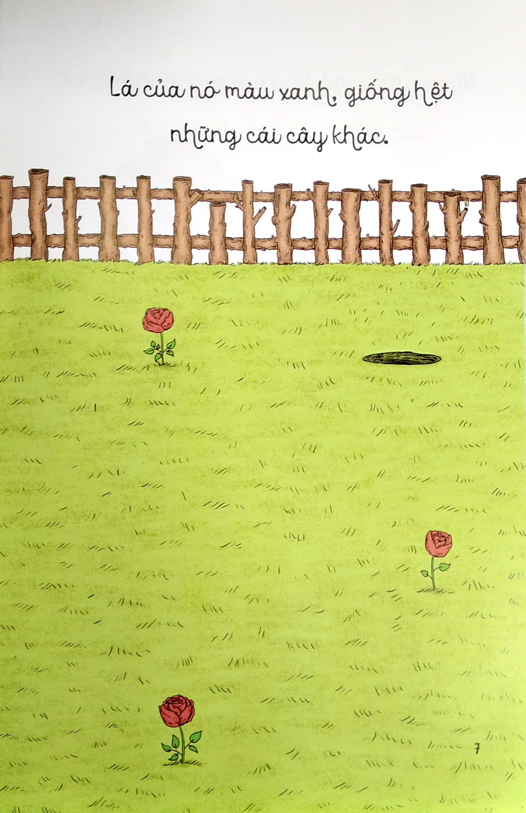 bé học điều hay qua câu chuyện nhỏ - gấu con tinh nghịch - cây ơi, sao bạn không nở hoa?