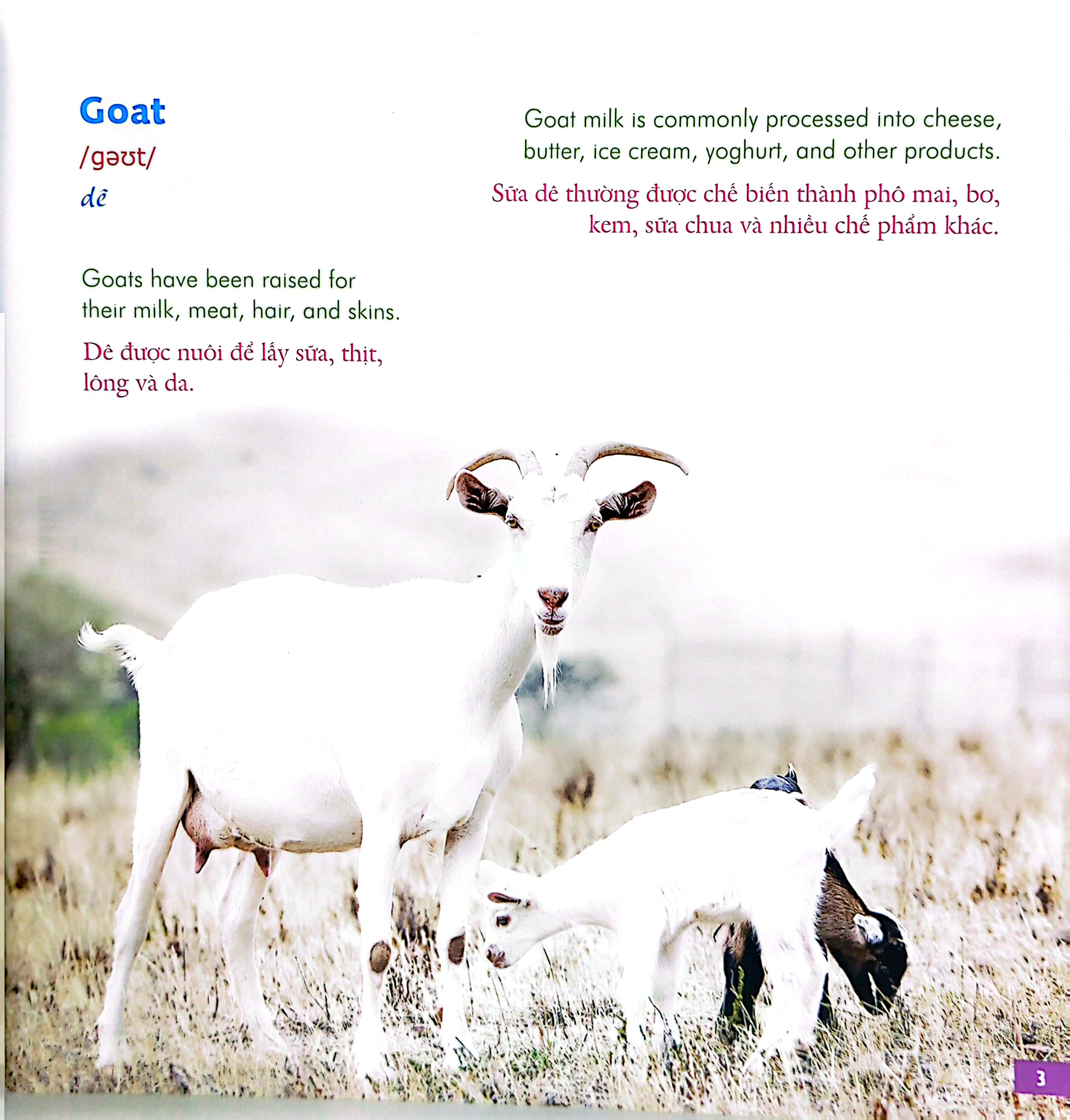 bé học tiếng anh qua hình ảnh - english for children - động vật nông trại - farm life