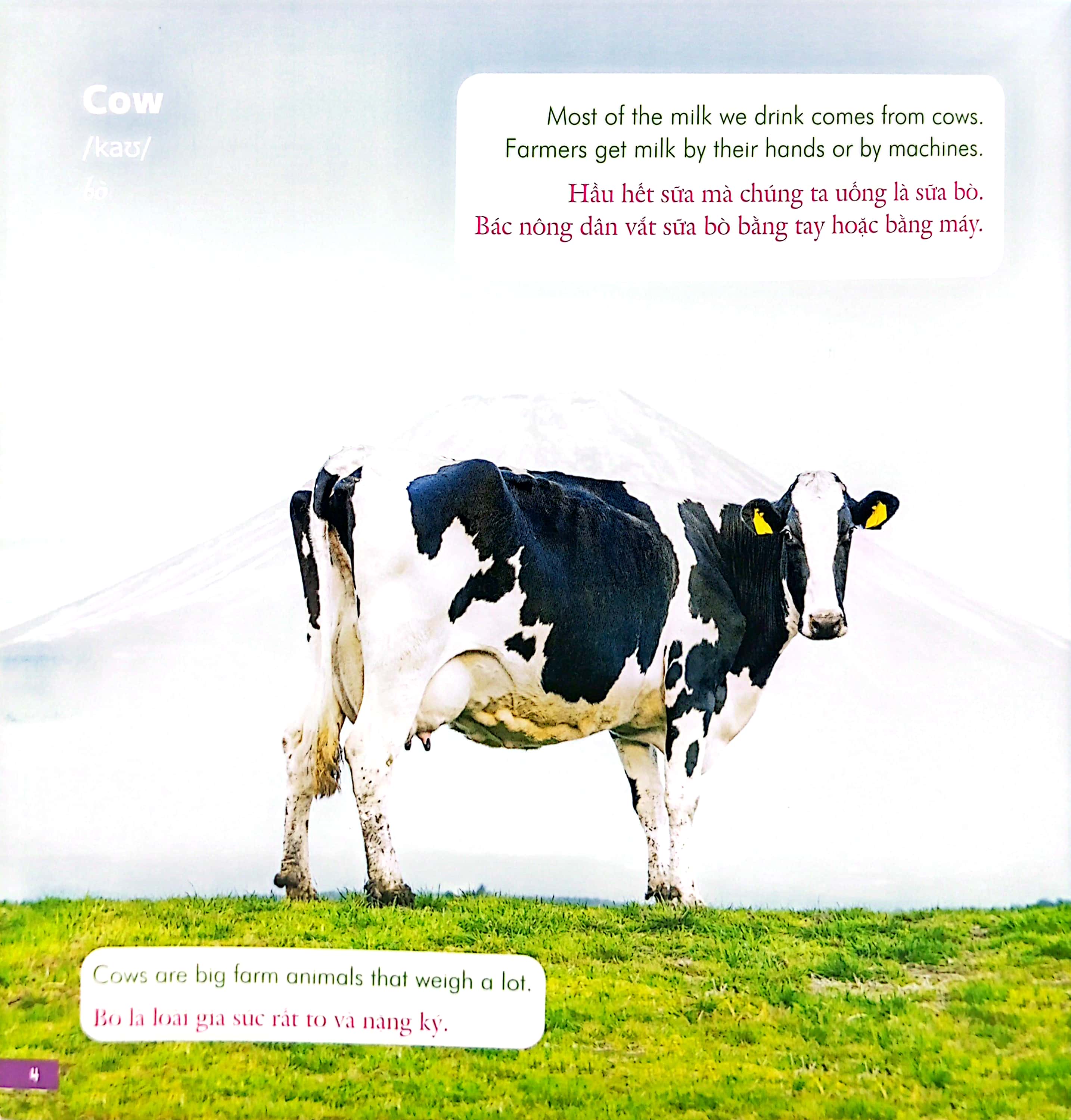 bé học tiếng anh qua hình ảnh - english for children - động vật nông trại - farm life