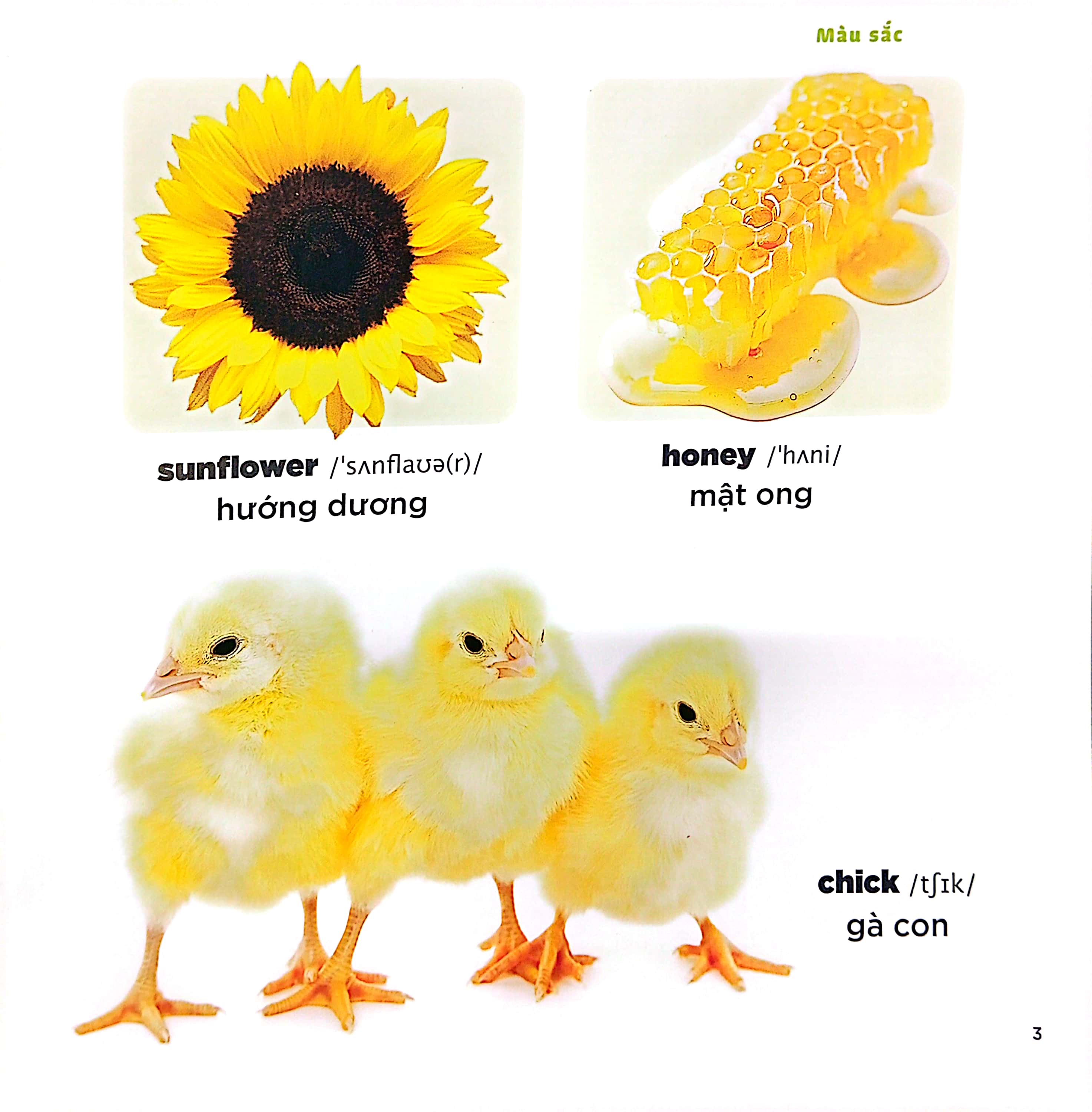 bé học tiếng anh qua hình ảnh - english for children - màu sắc - colours