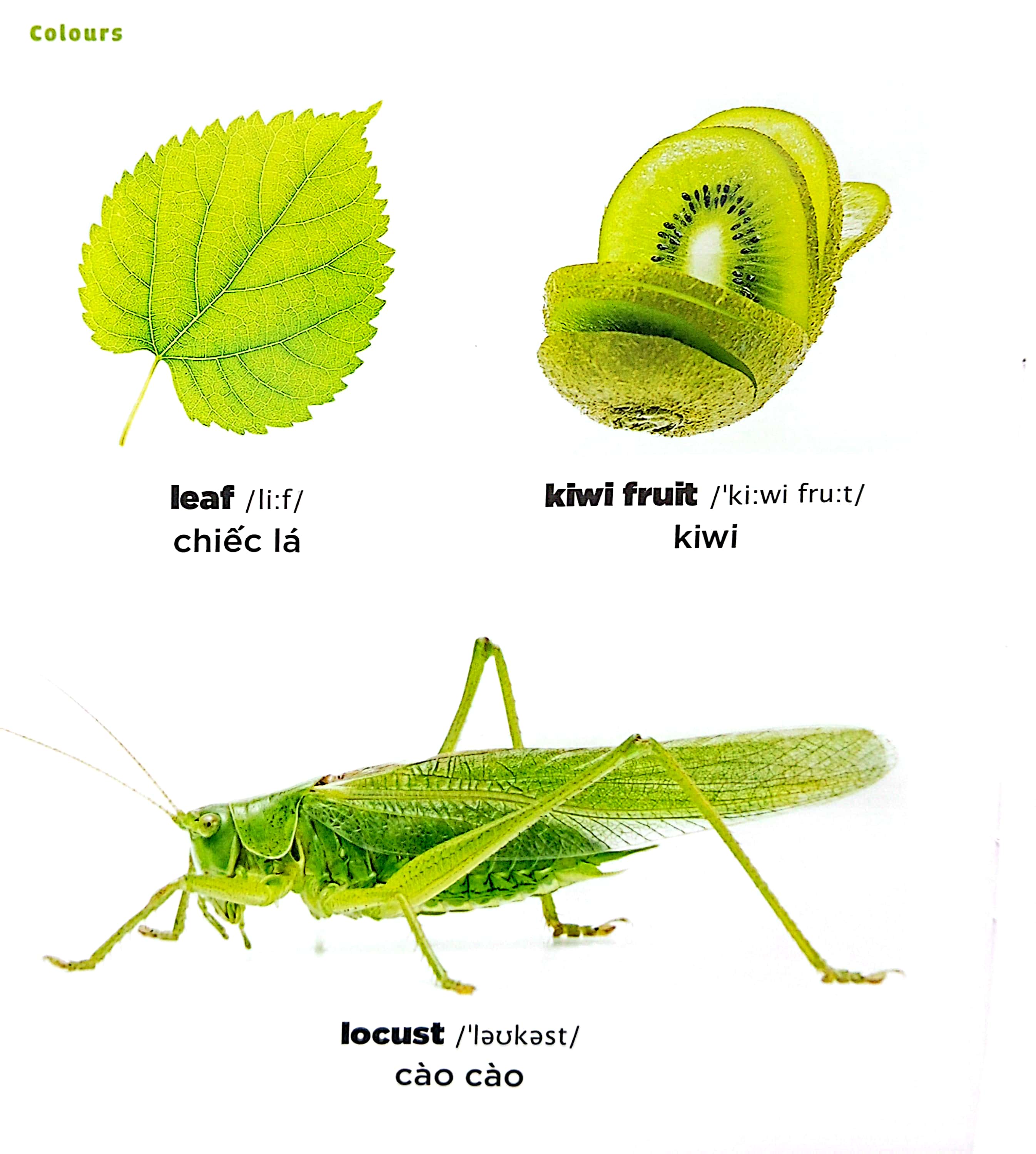 bé học tiếng anh qua hình ảnh - english for children - màu sắc - colours