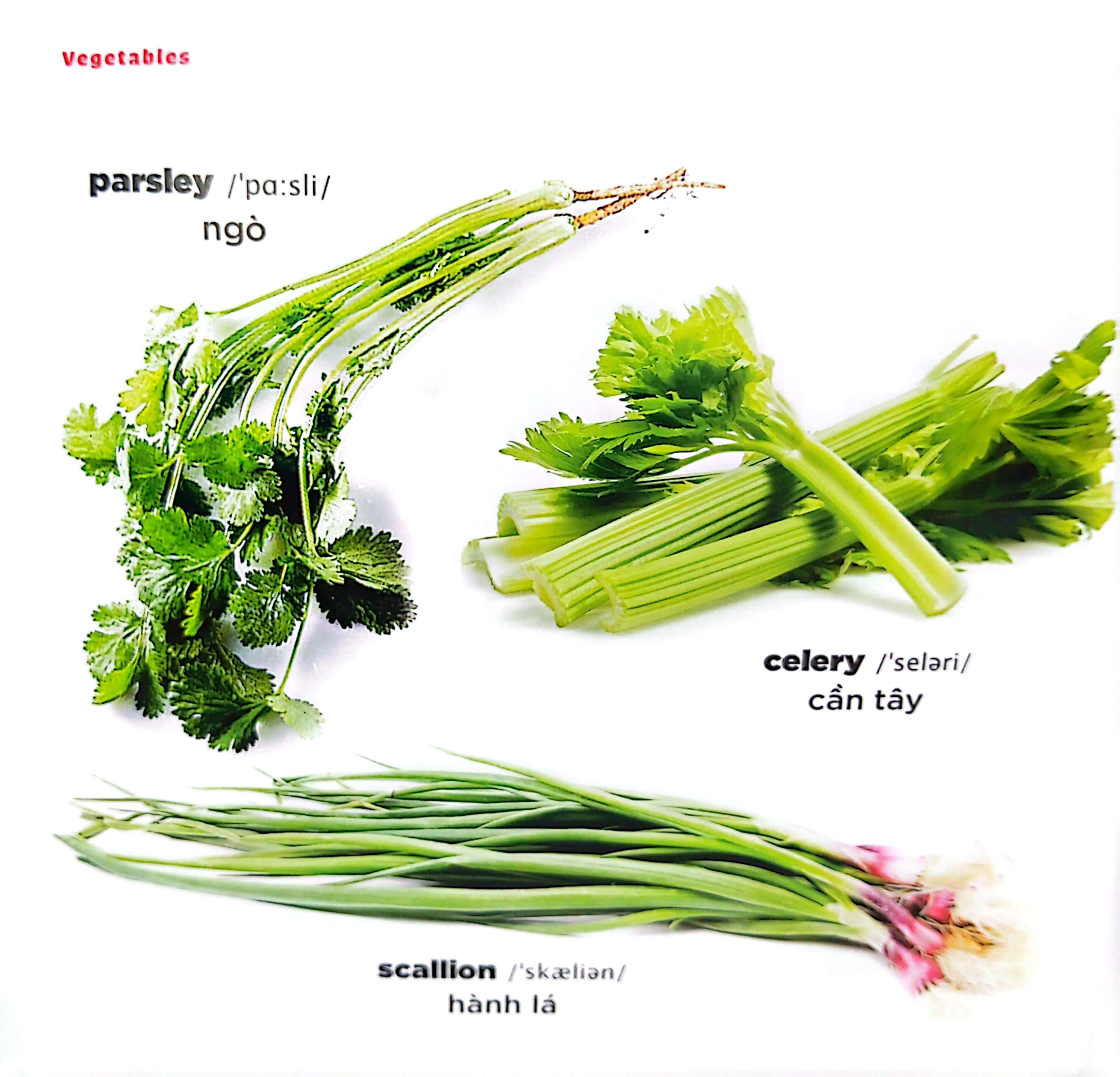 bé học tiếng anh qua hình ảnh - english for children - rau củ - vegetables