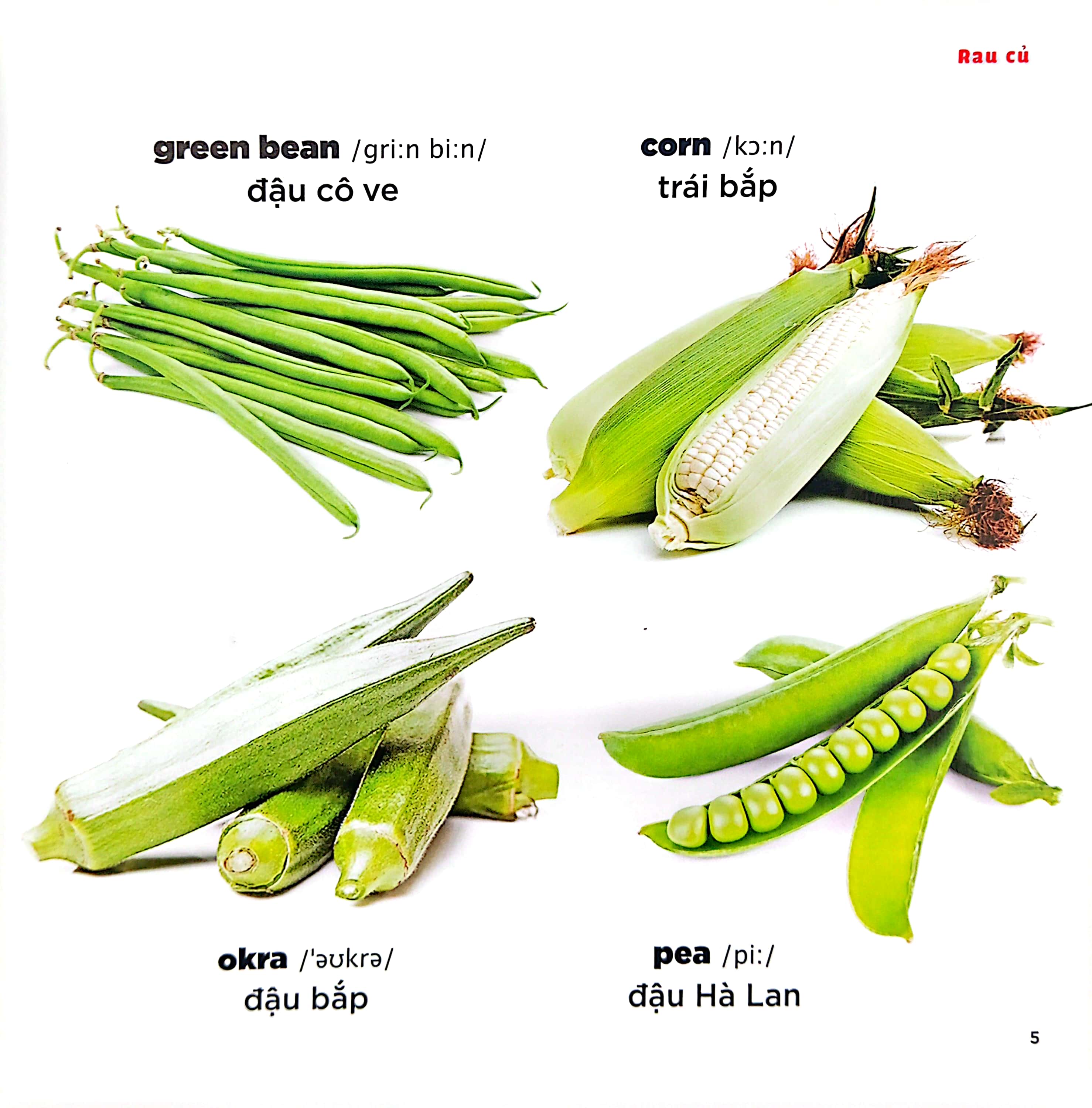 bé học tiếng anh qua hình ảnh - english for children - rau củ - vegetables