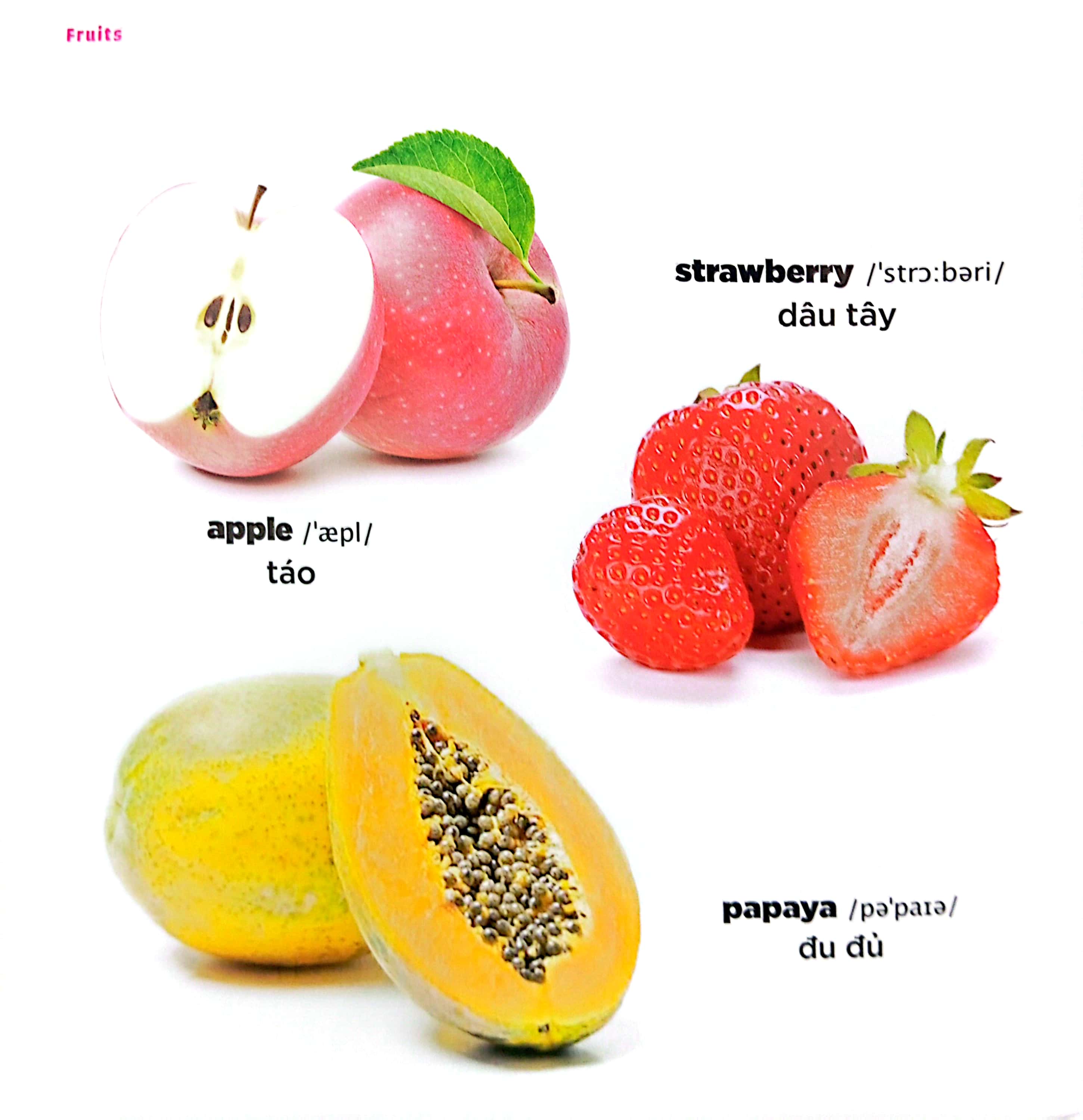 bé học tiếng anh qua hình ảnh - english for children - trái cây - fruits