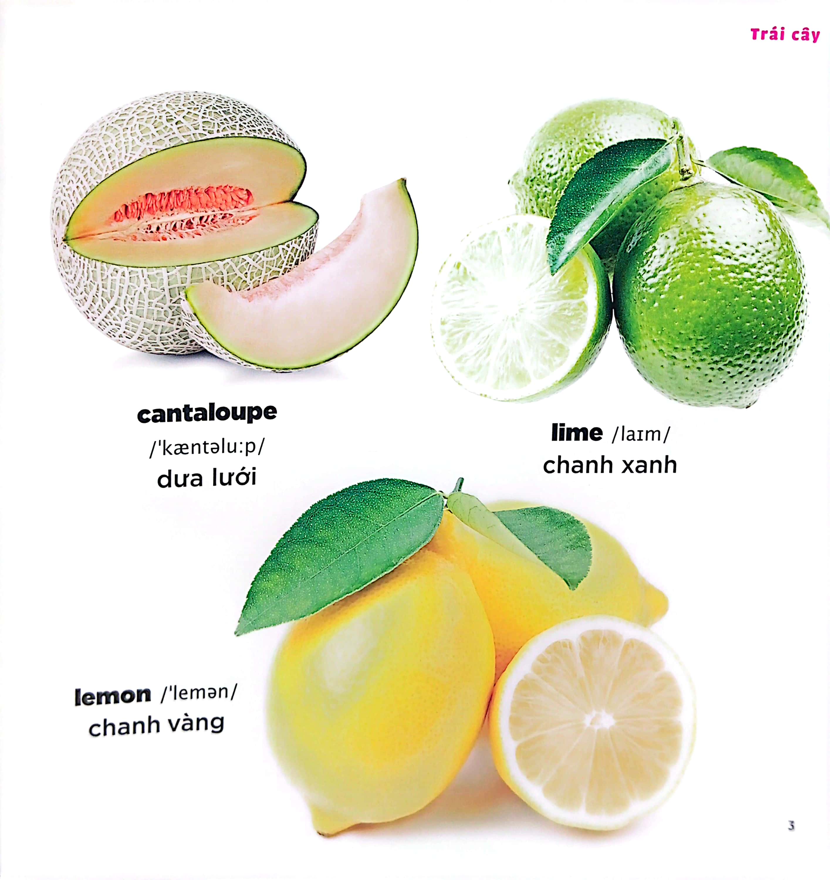 bé học tiếng anh qua hình ảnh - english for children - trái cây - fruits