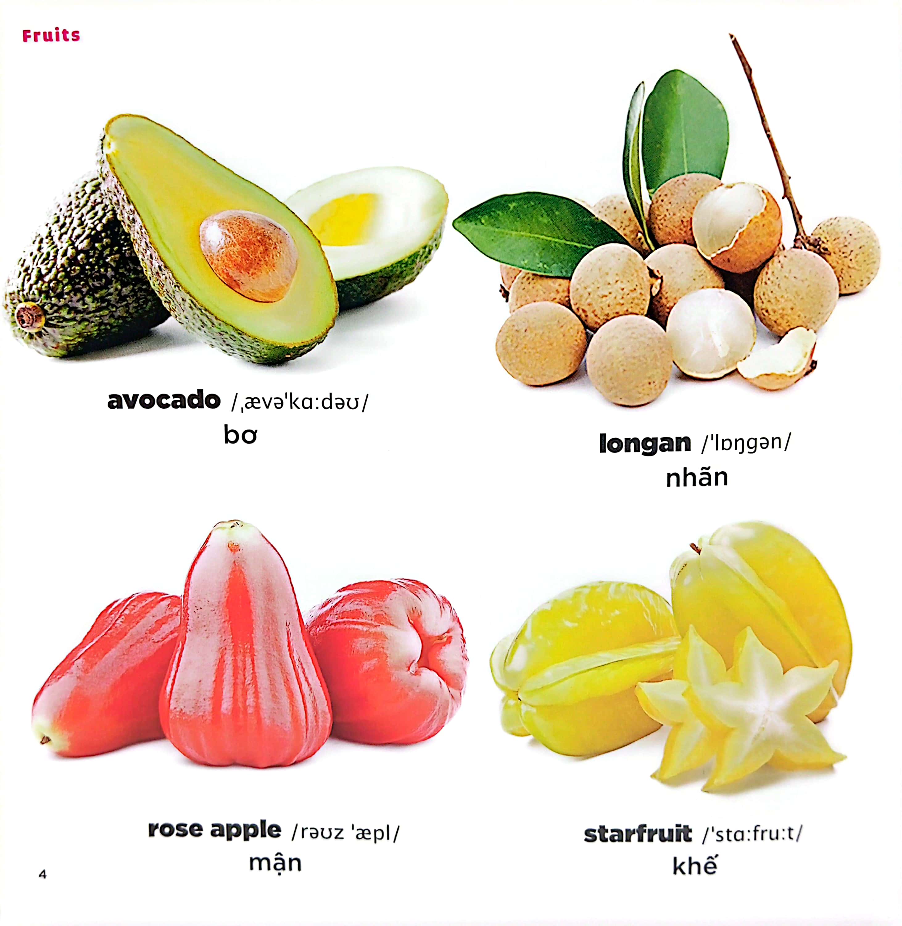 bé học tiếng anh qua hình ảnh - english for children - trái cây - fruits