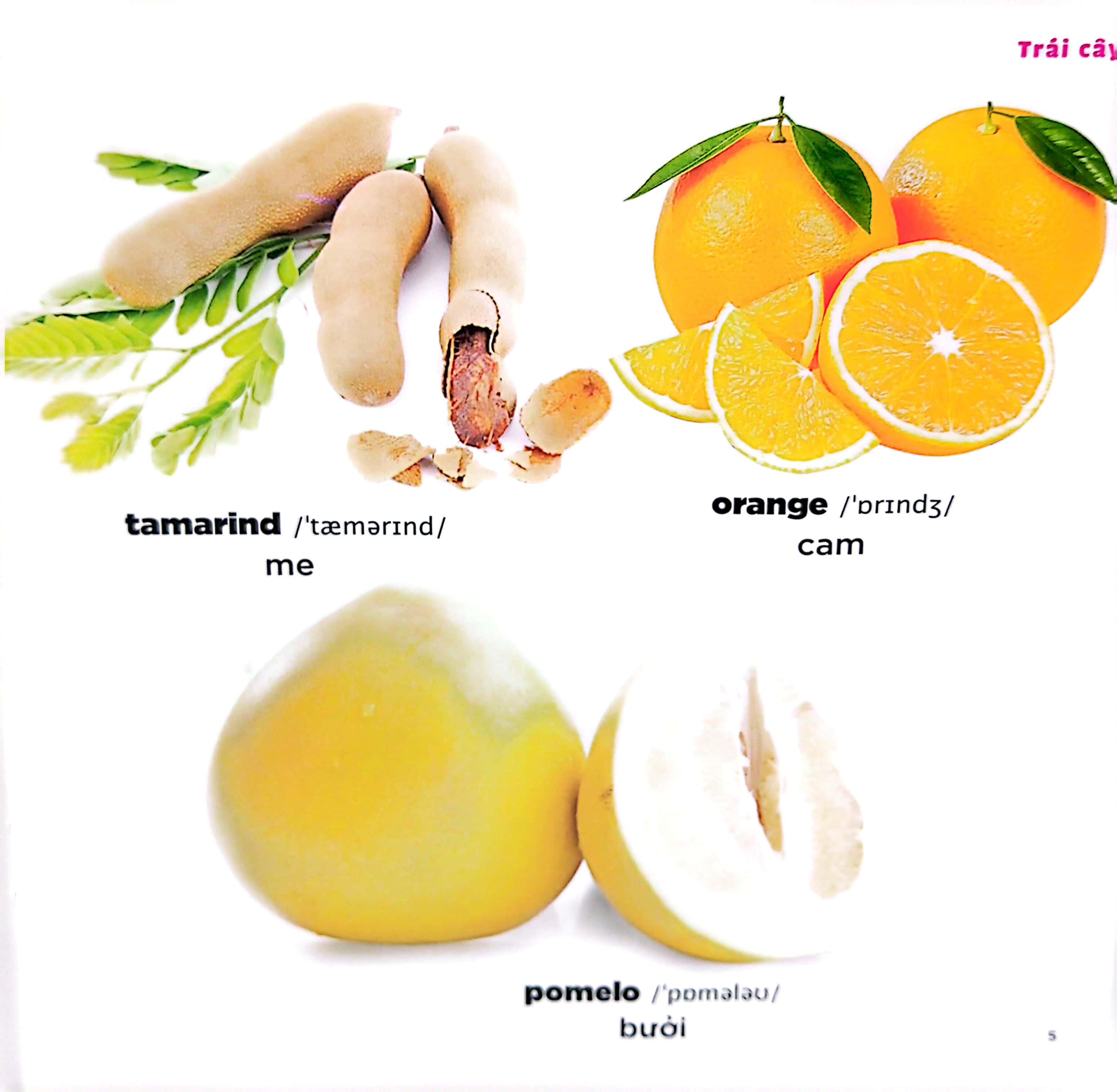 bé học tiếng anh qua hình ảnh - english for children - trái cây - fruits