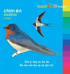 bé khám phá môi trường xung quanh - các loài chim (tái bản 2024)