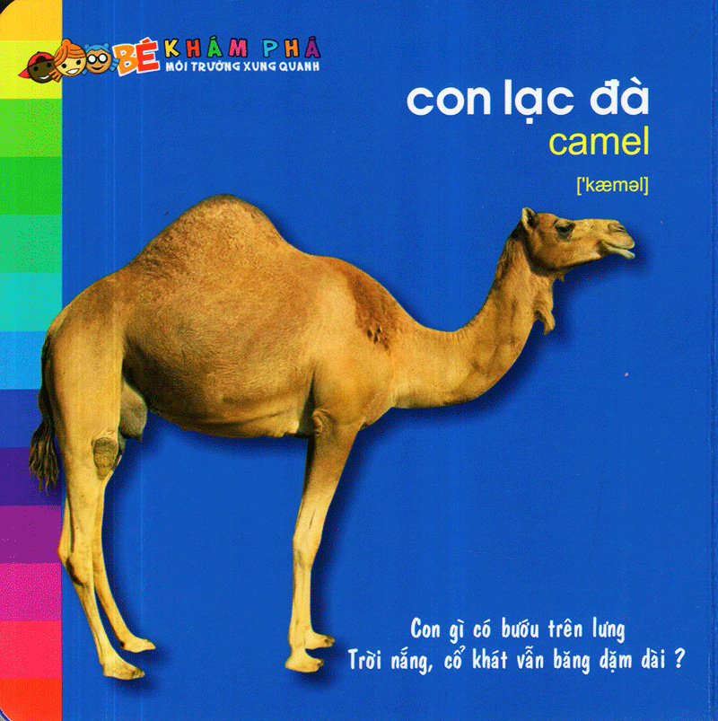 bé khám phá môi trường xung quanh - động vật hoang dã (tái bản)