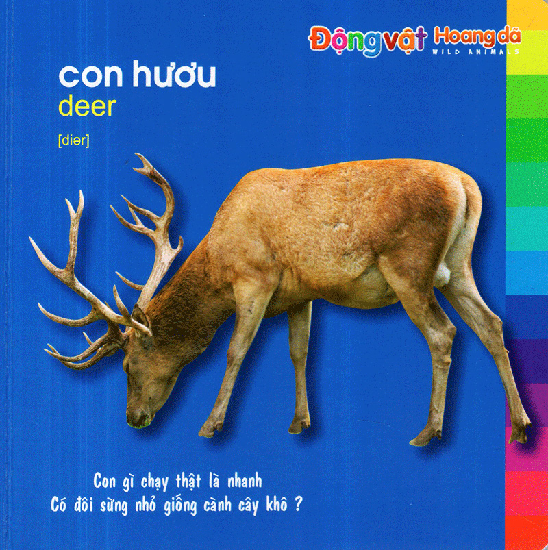 bé khám phá môi trường xung quanh - động vật hoang dã (tái bản)