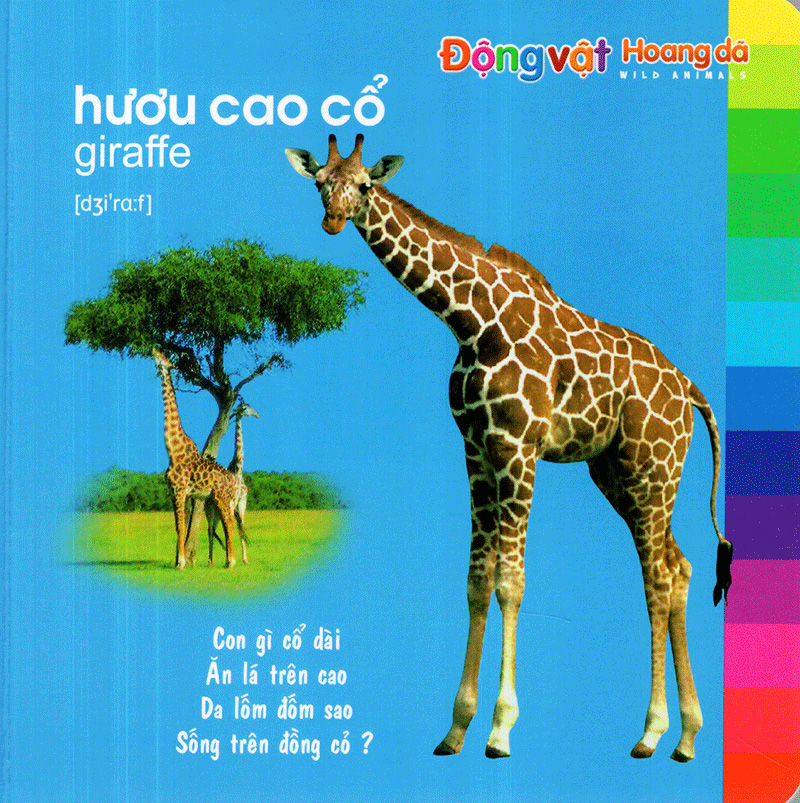 bé khám phá môi trường xung quanh - động vật hoang dã (tái bản)