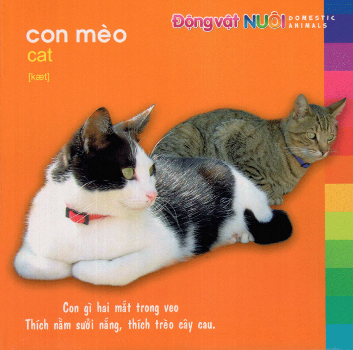 Bé Khám Phá Môi Trường Xung Quanh - Động Vật Nuôi - Bìa Cứng (Tái Bản 2025)