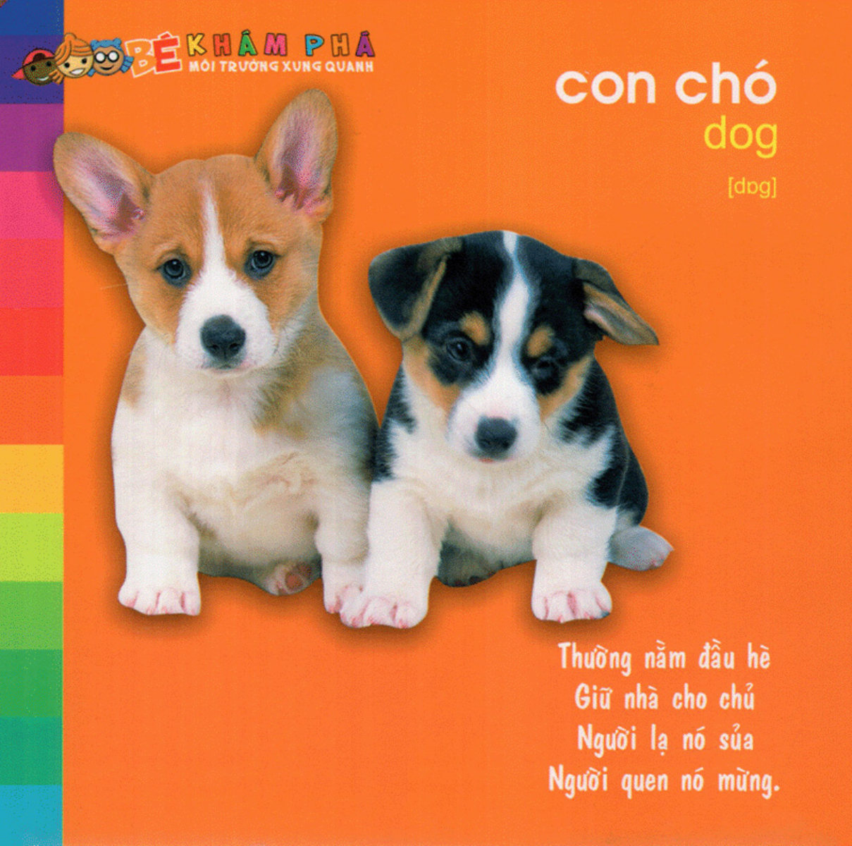 Bé Khám Phá Môi Trường Xung Quanh - Động Vật Nuôi - Bìa Cứng (Tái Bản 2025)