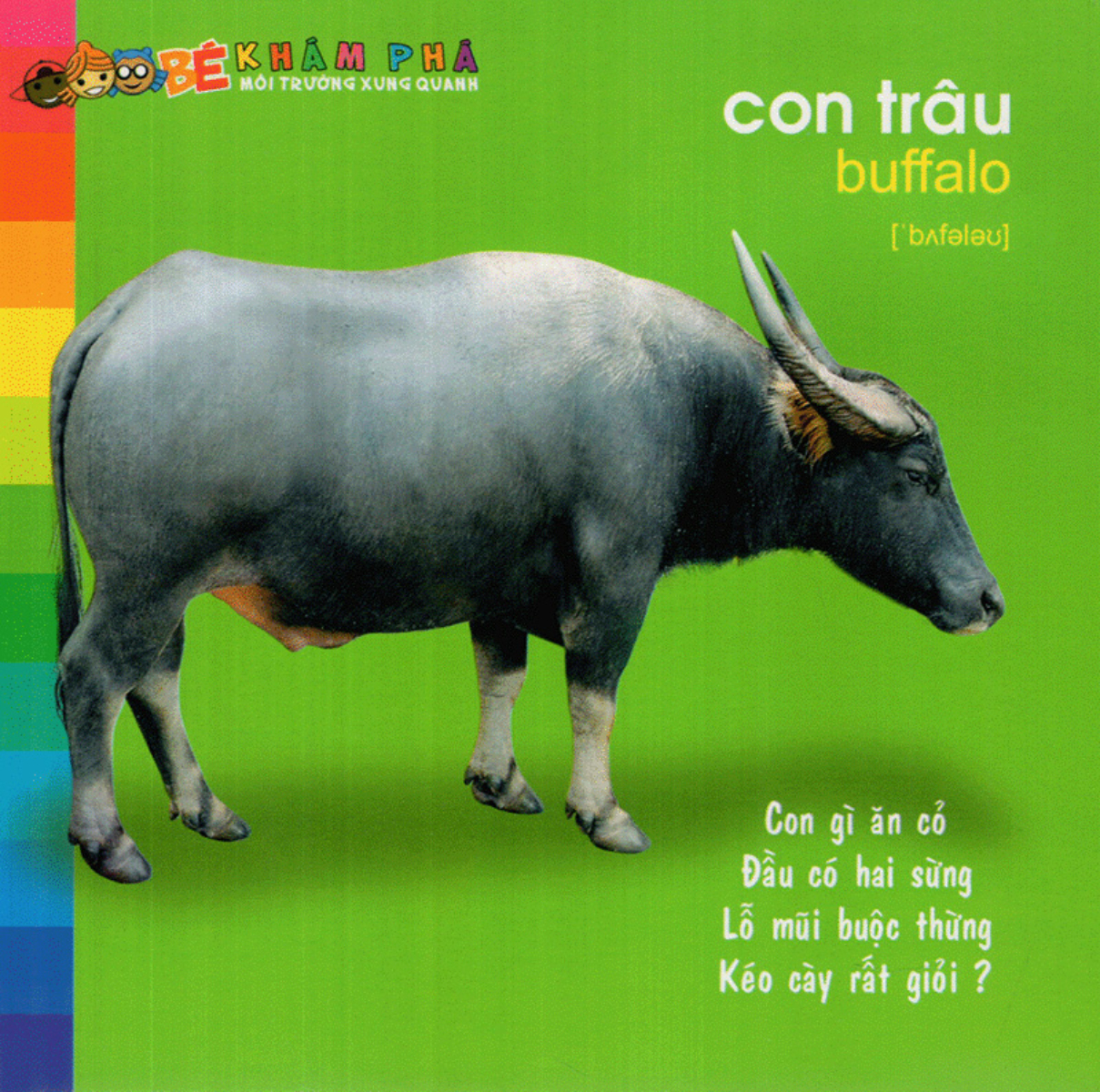 Bé Khám Phá Môi Trường Xung Quanh - Động Vật Nuôi - Bìa Cứng (Tái Bản 2025)