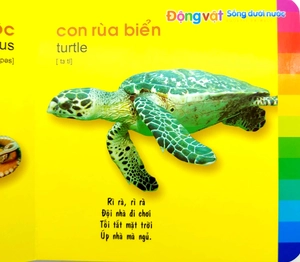 bé khám phá môi trường xung quanh - động vật sống dưới nước (2022)