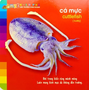 bé khám phá môi trường xung quanh - động vật sống dưới nước (2022)