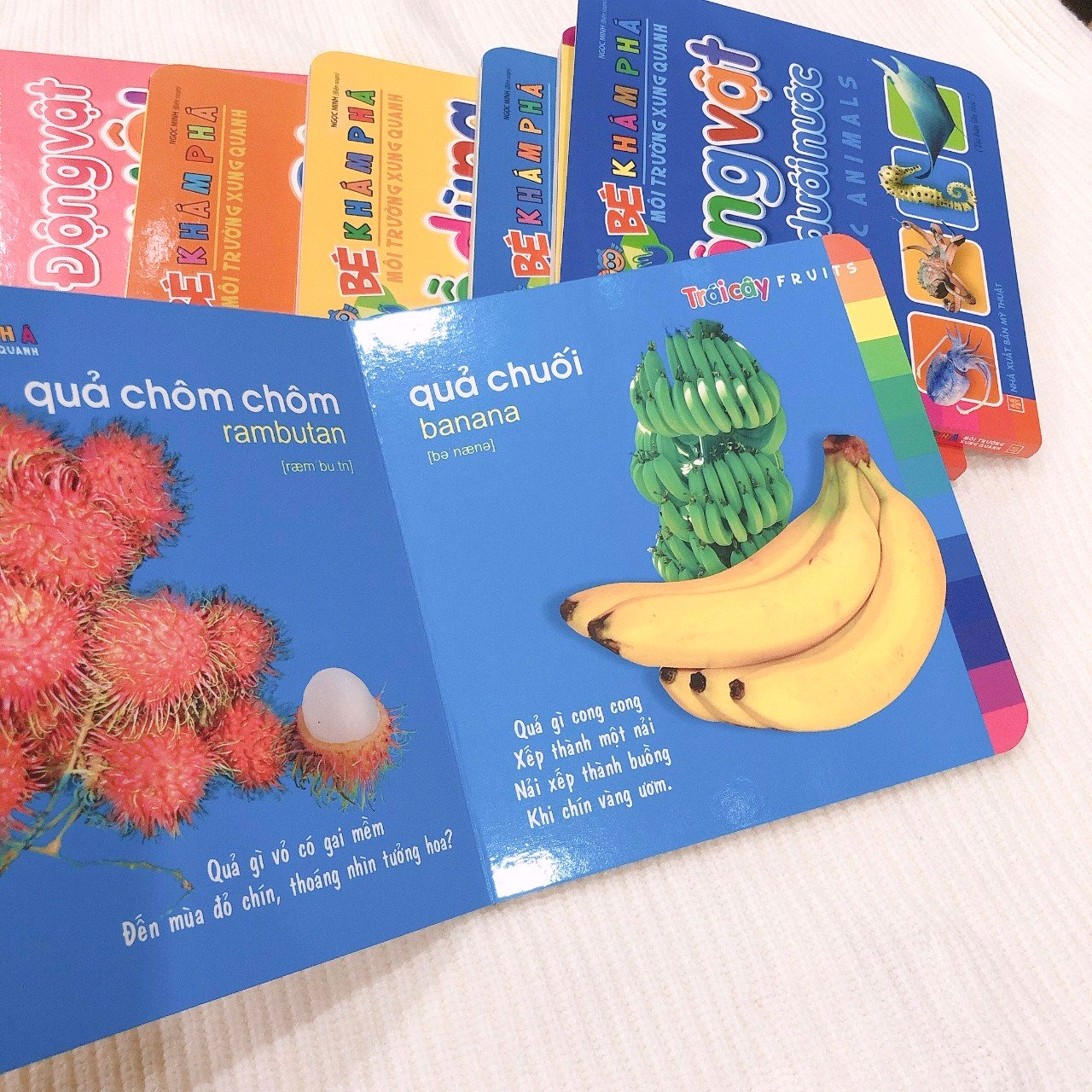 bé khám phá môi trường xung quanh - trái cây - fruits (2022)