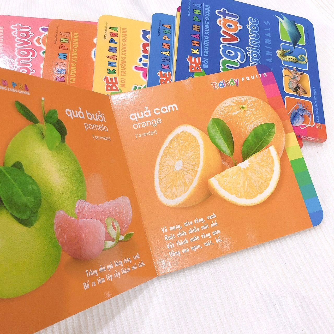 bé khám phá môi trường xung quanh - trái cây - fruits (2022)