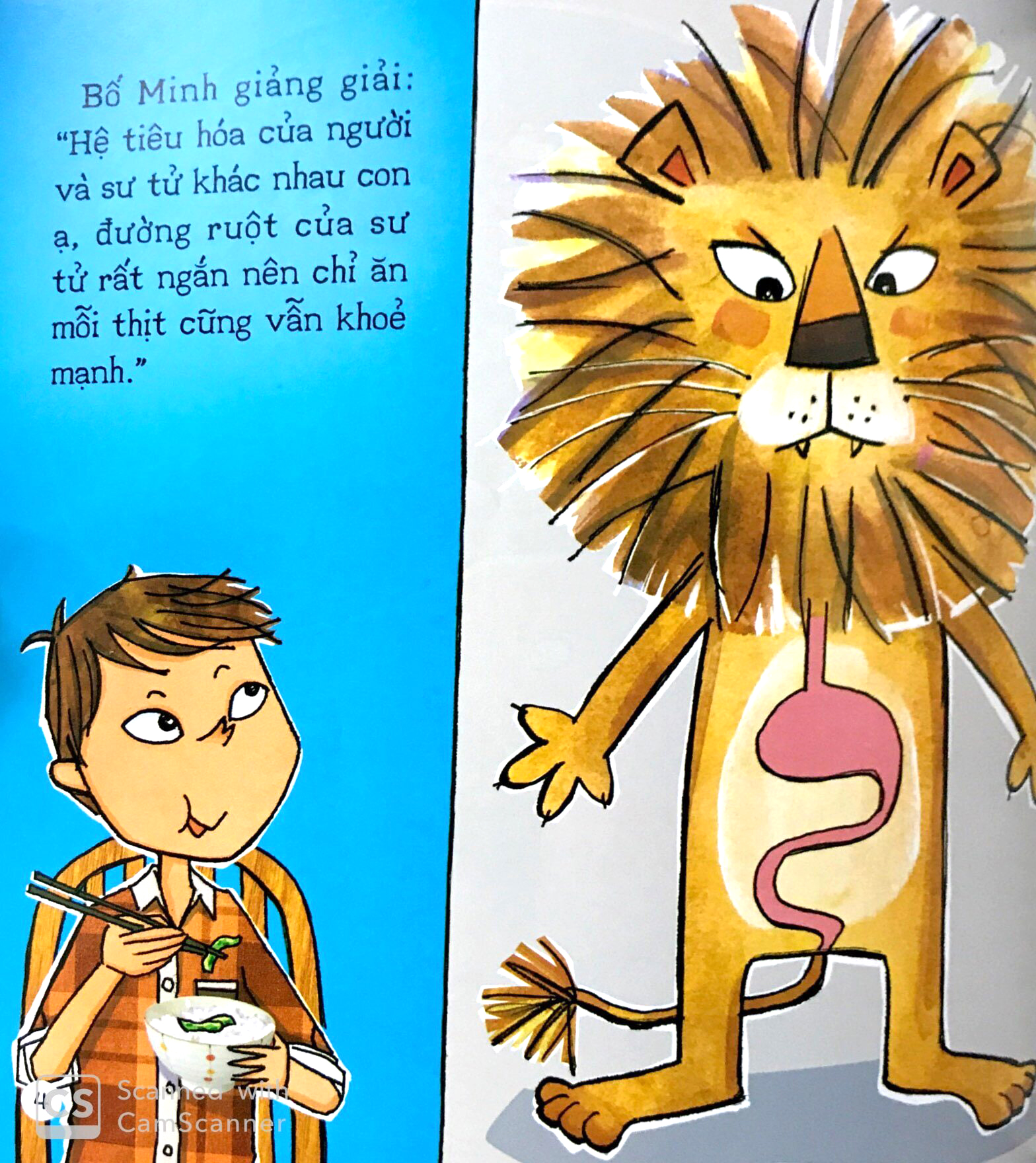 bé khoẻ mỗi ngày - nếu không ăn rau thì sao?