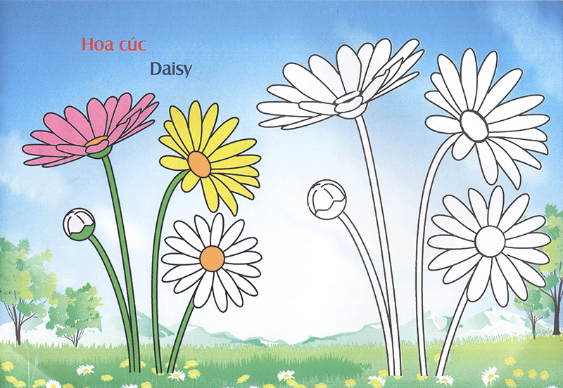 bé làm quen môi trường - các loài hoa