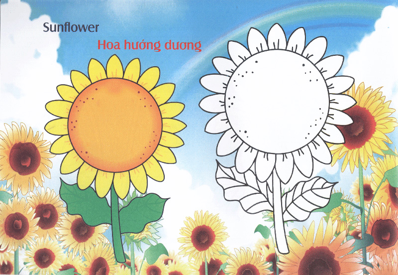 bé làm quen môi trường - các loài hoa