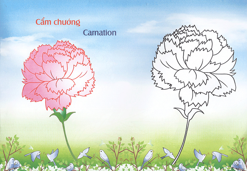 bé làm quen môi trường - các loài hoa