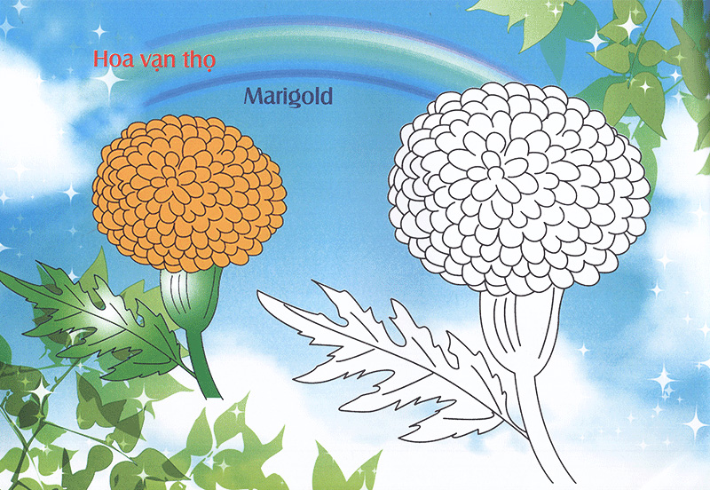bé làm quen môi trường - các loài hoa