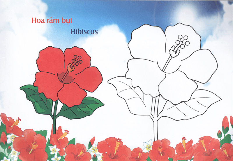 bé làm quen môi trường - các loài hoa