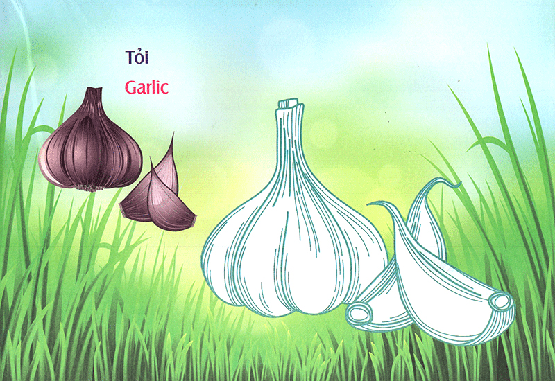 bé làm quen môi trường - rau củ