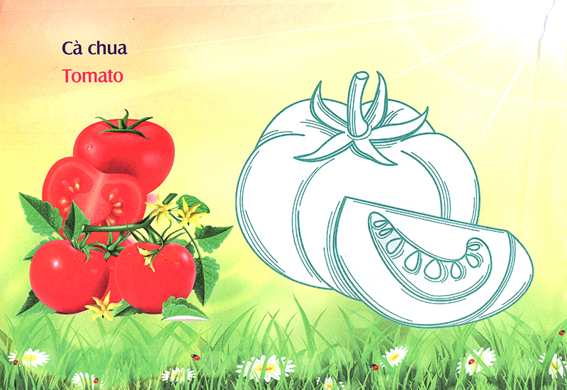 bé làm quen môi trường - rau củ