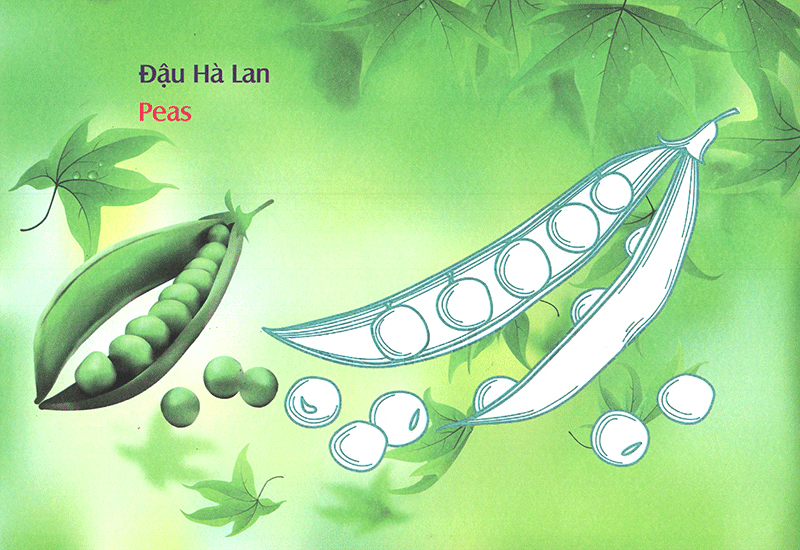 bé làm quen môi trường - rau củ