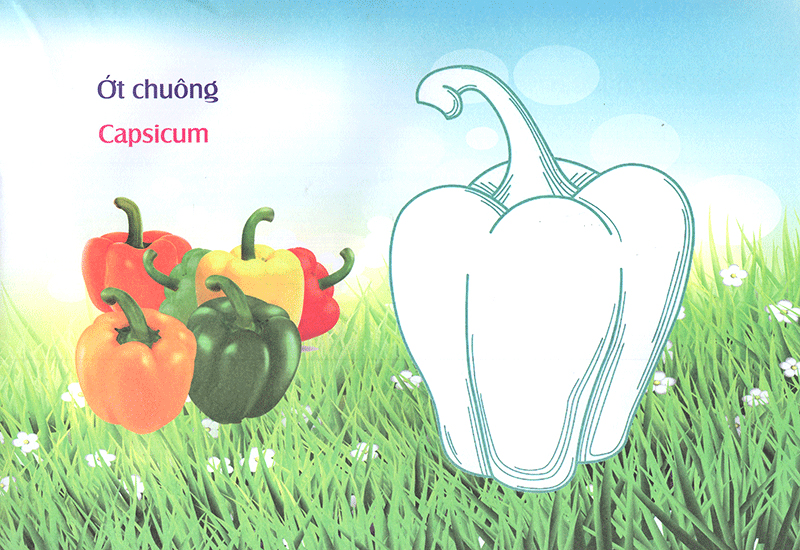 bé làm quen môi trường - rau củ