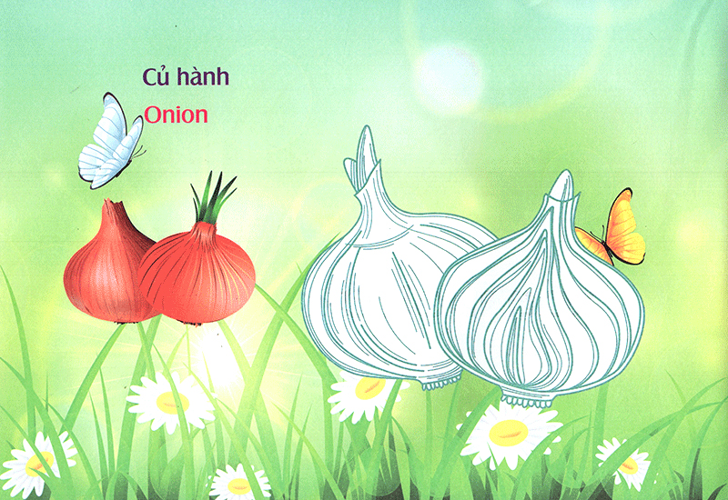 bé làm quen môi trường - rau củ