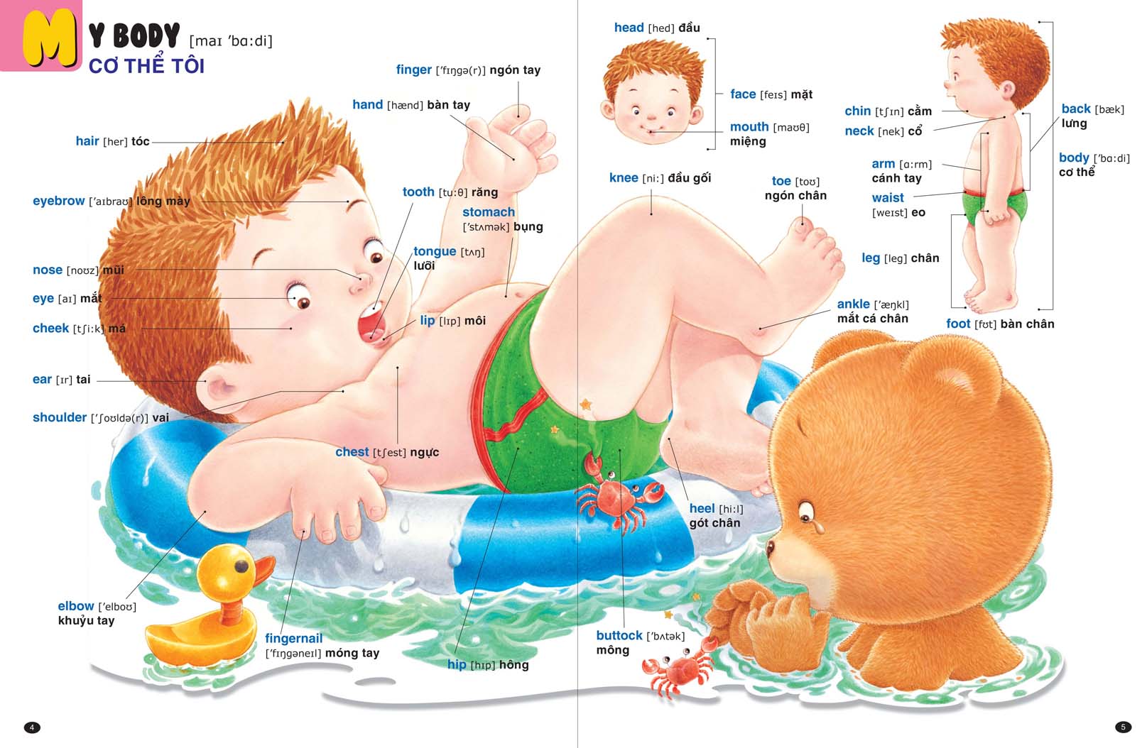 bé làm quen với tiếng anh - gấu bogie học từ