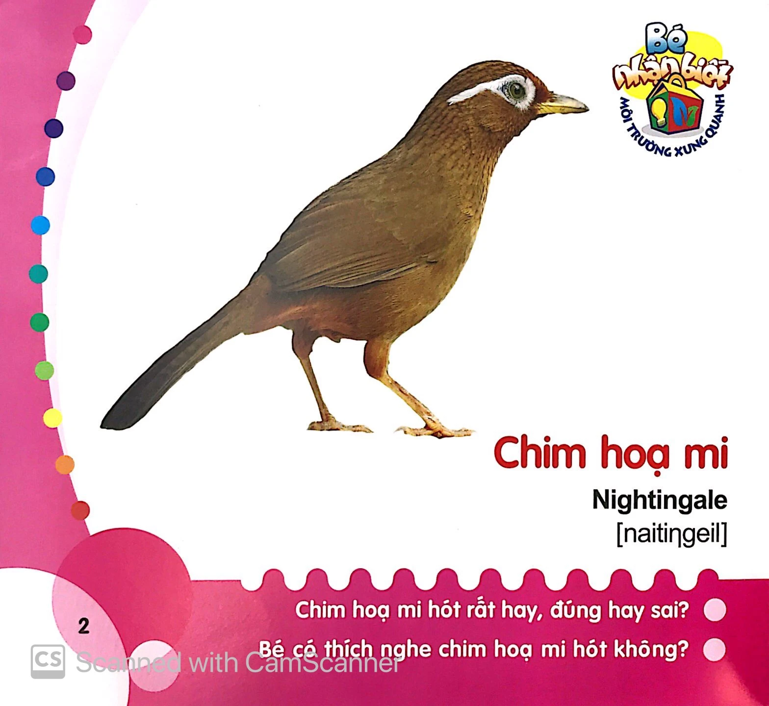 bé nhận biết môi trường xung quanh (0-3 tuổi) chim