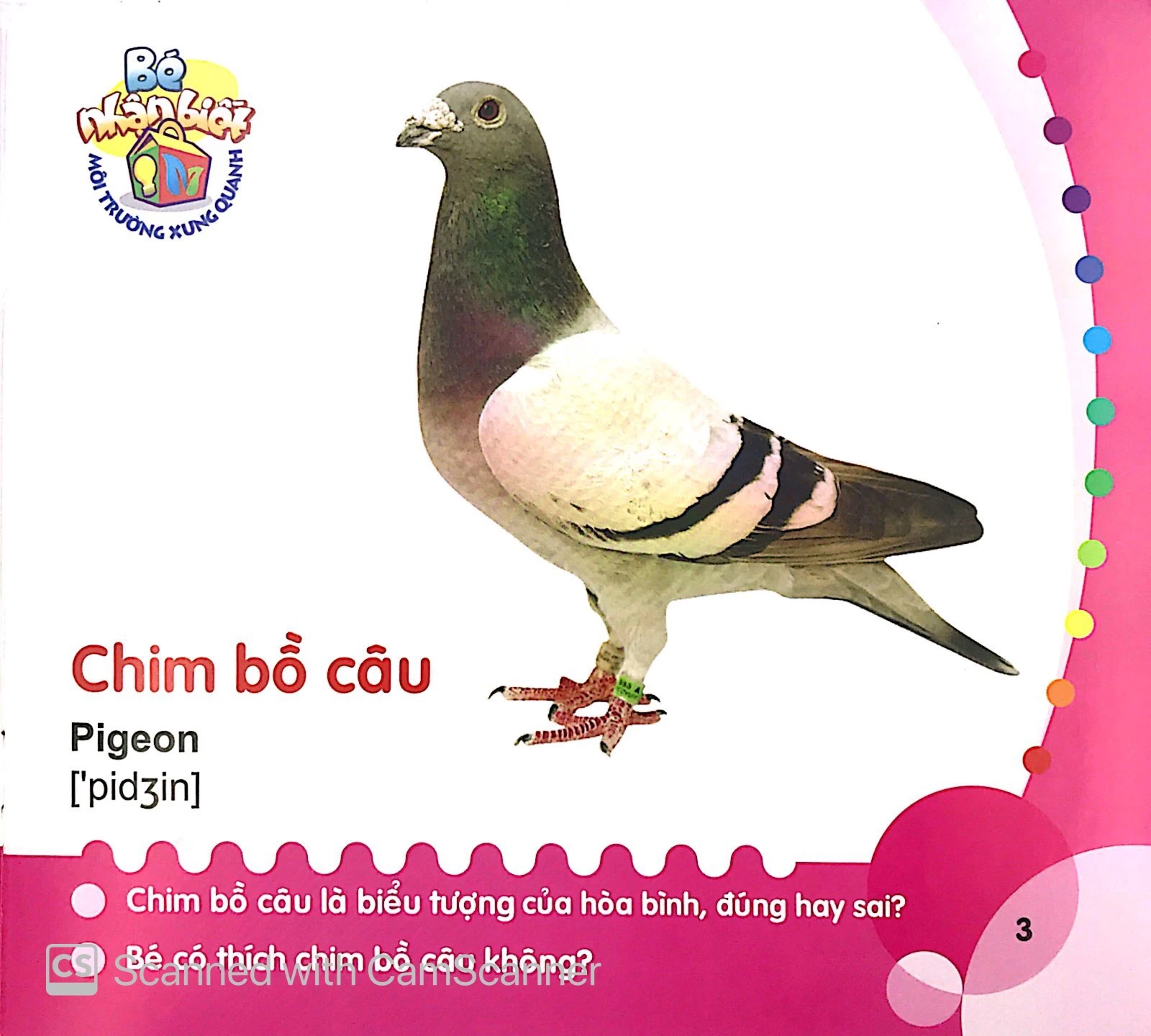 bé nhận biết môi trường xung quanh (0-3 tuổi) chim