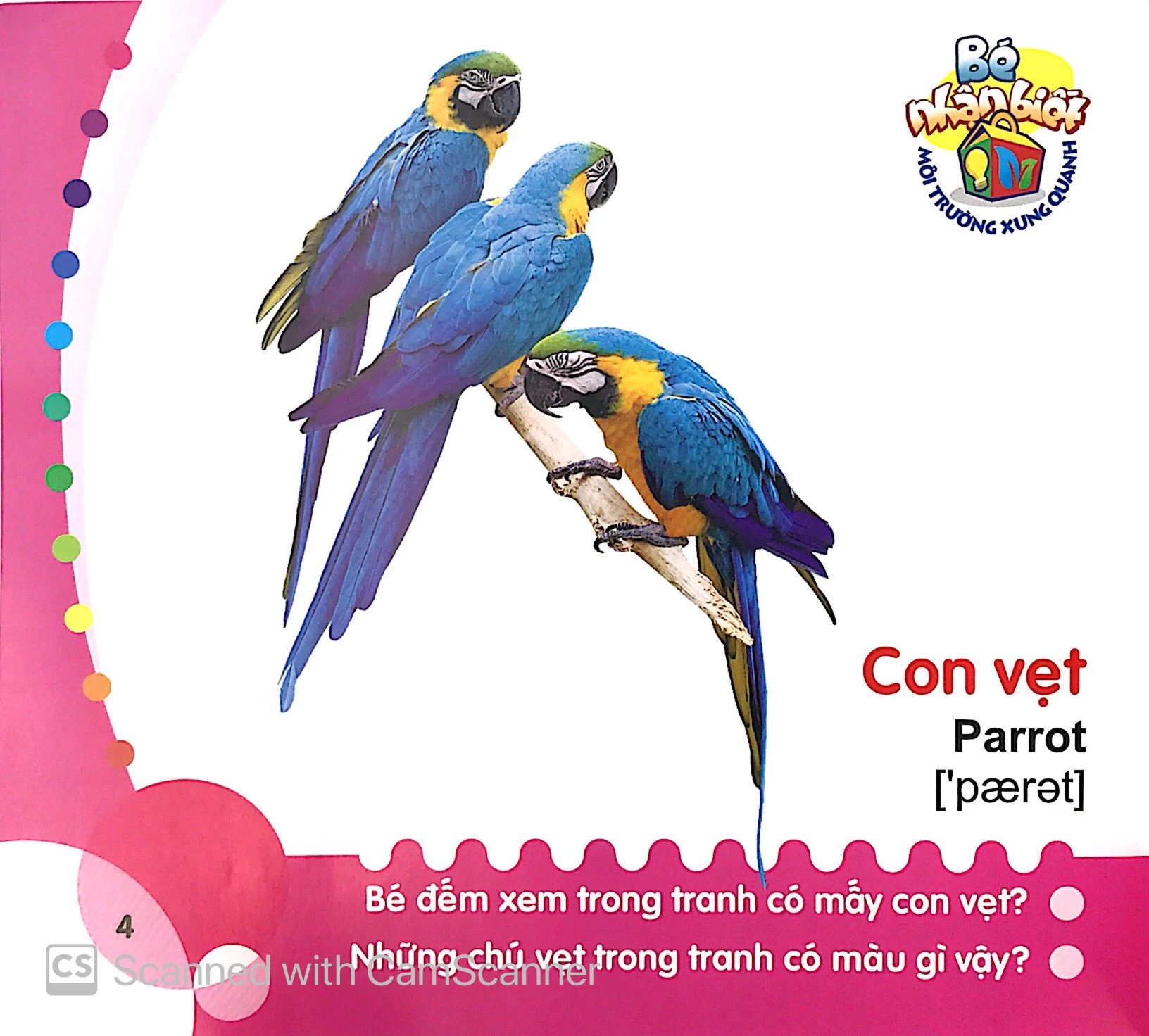 bé nhận biết môi trường xung quanh (0-3 tuổi) chim