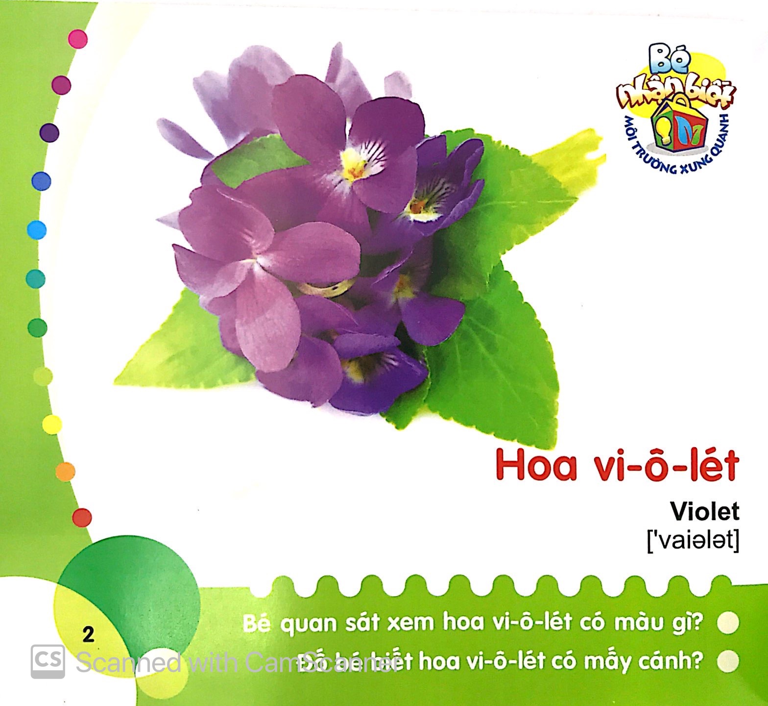 bé nhận biết môi trường xung quanh (0-3 tuổi)_hoa