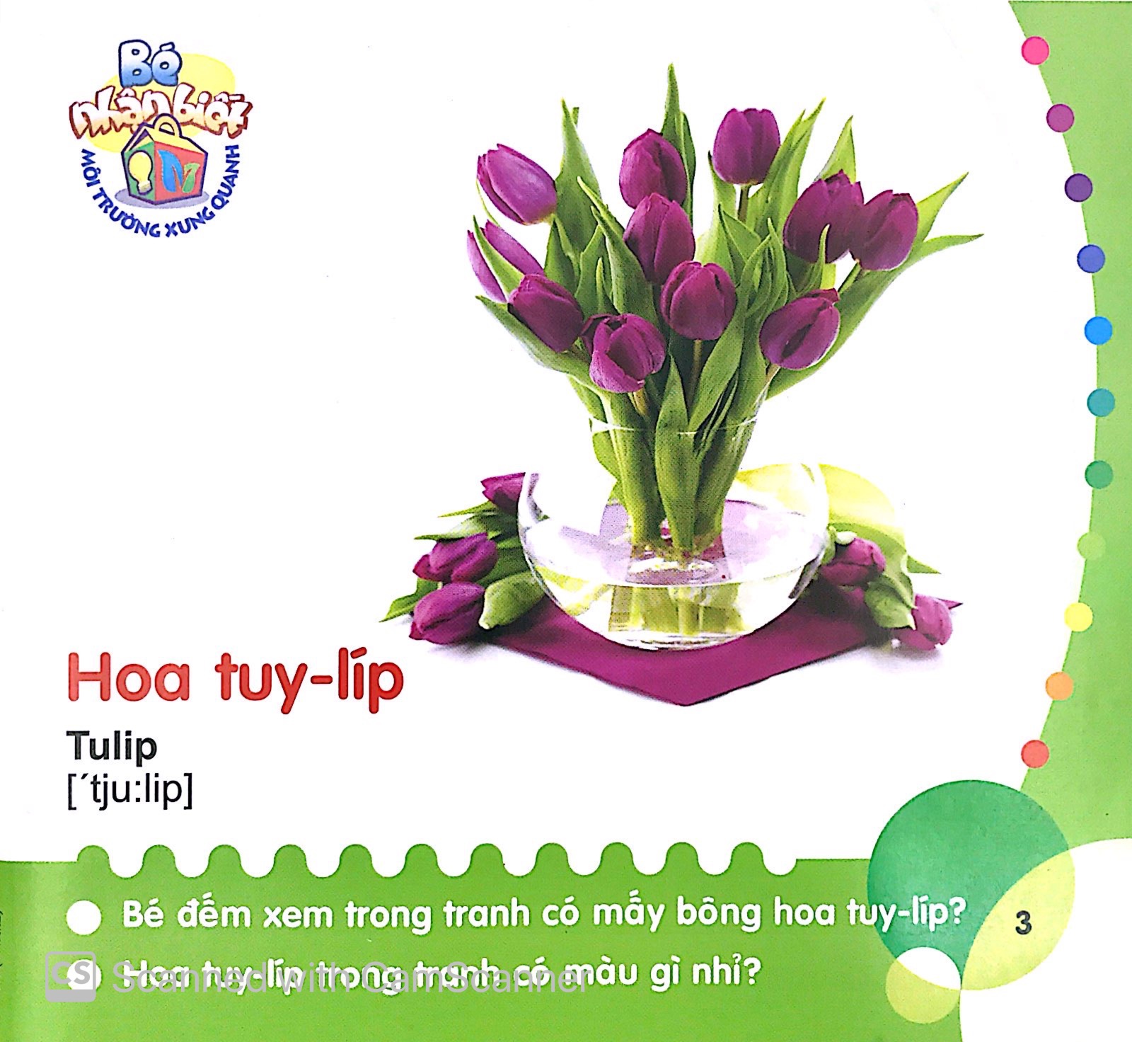 bé nhận biết môi trường xung quanh (0-3 tuổi)_hoa