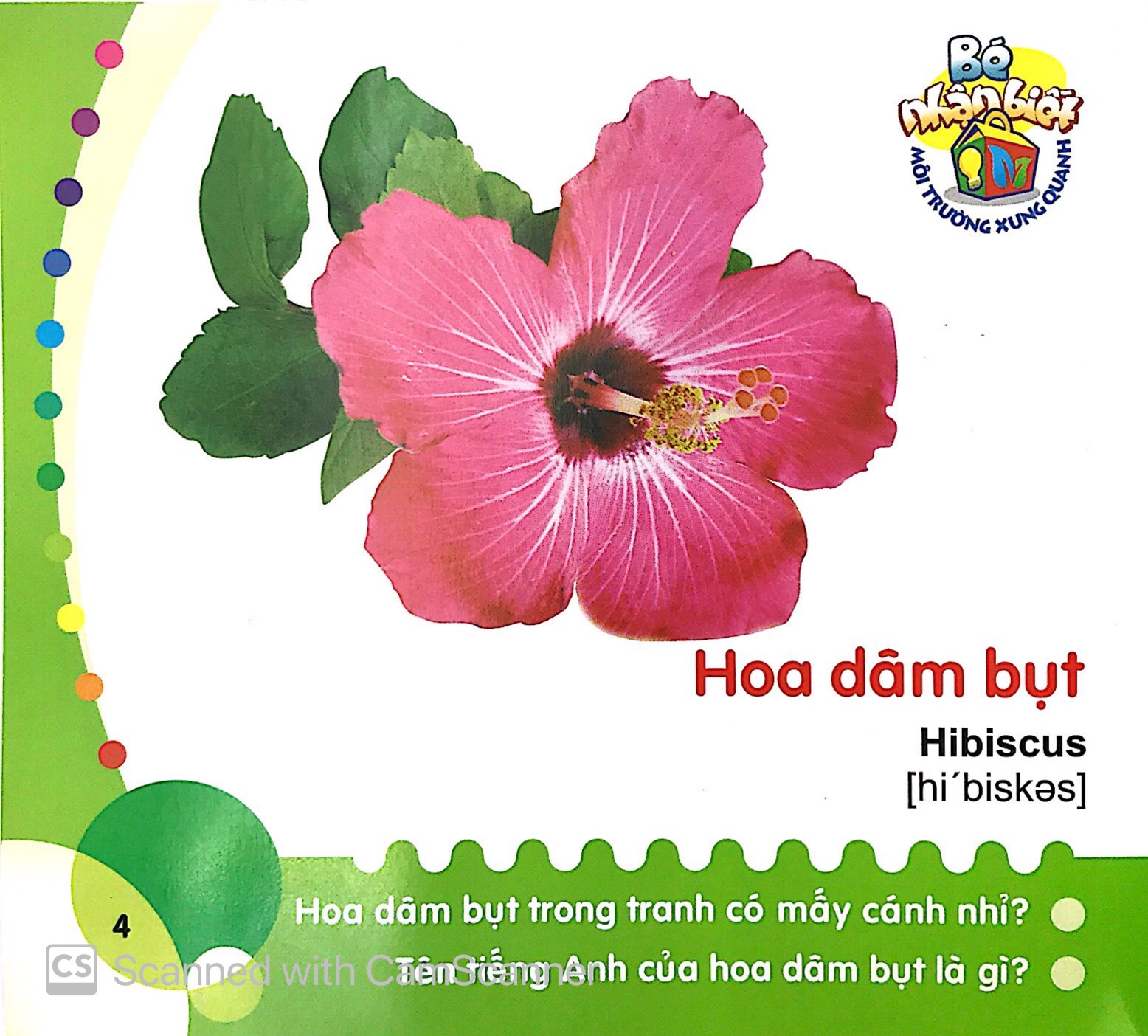 bé nhận biết môi trường xung quanh (0-3 tuổi)_hoa