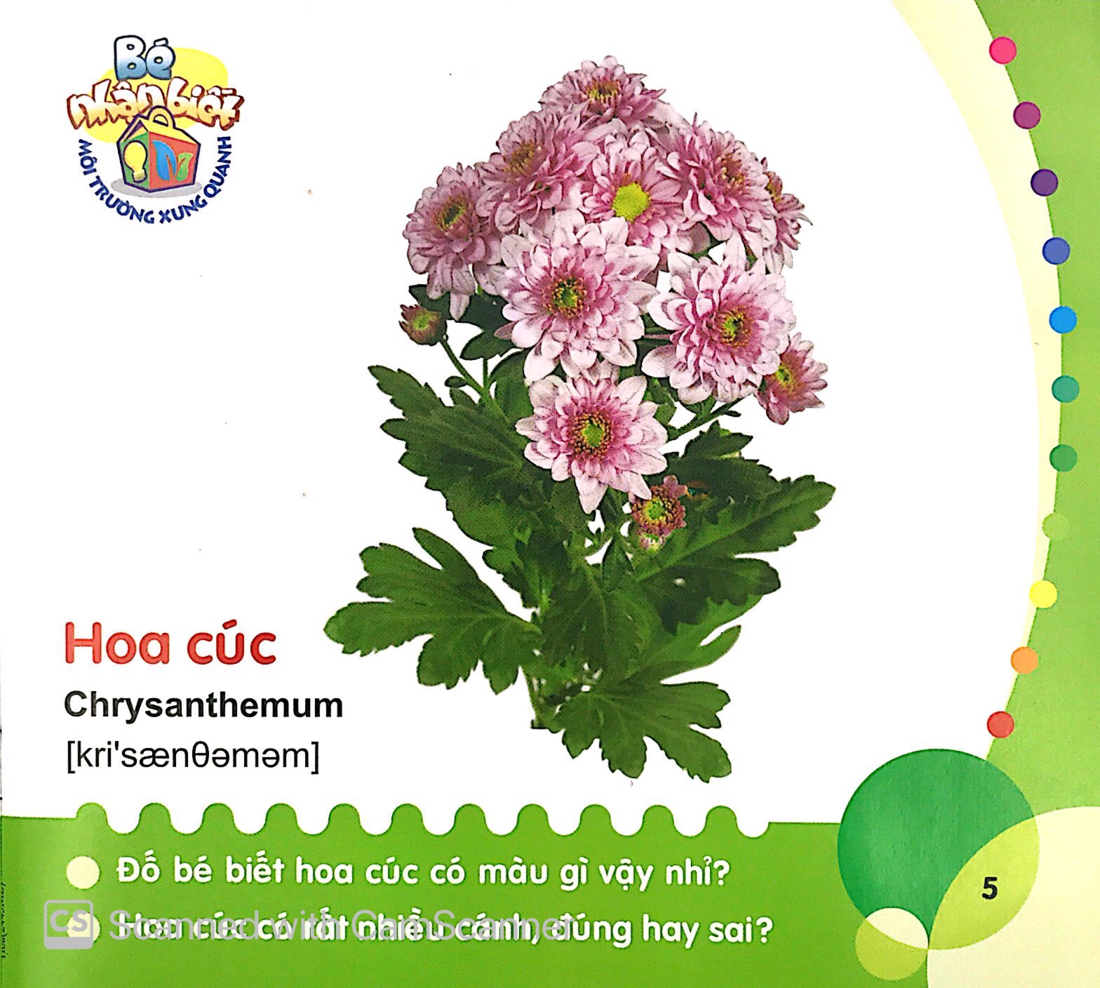 bé nhận biết môi trường xung quanh (0-3 tuổi)_hoa