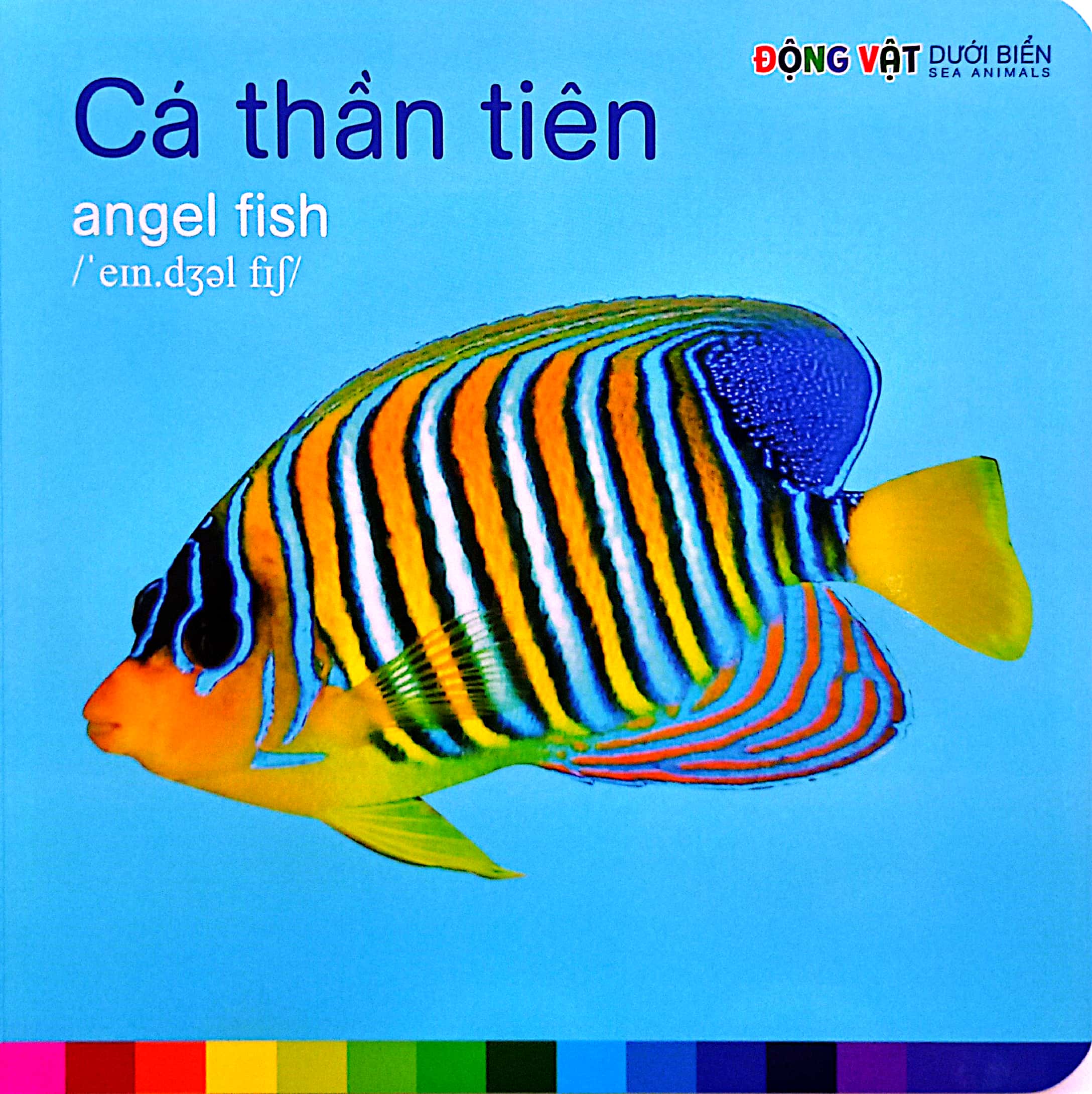 bé nhận biết thế giới xung quanh - động vật dưới biển - sea animals