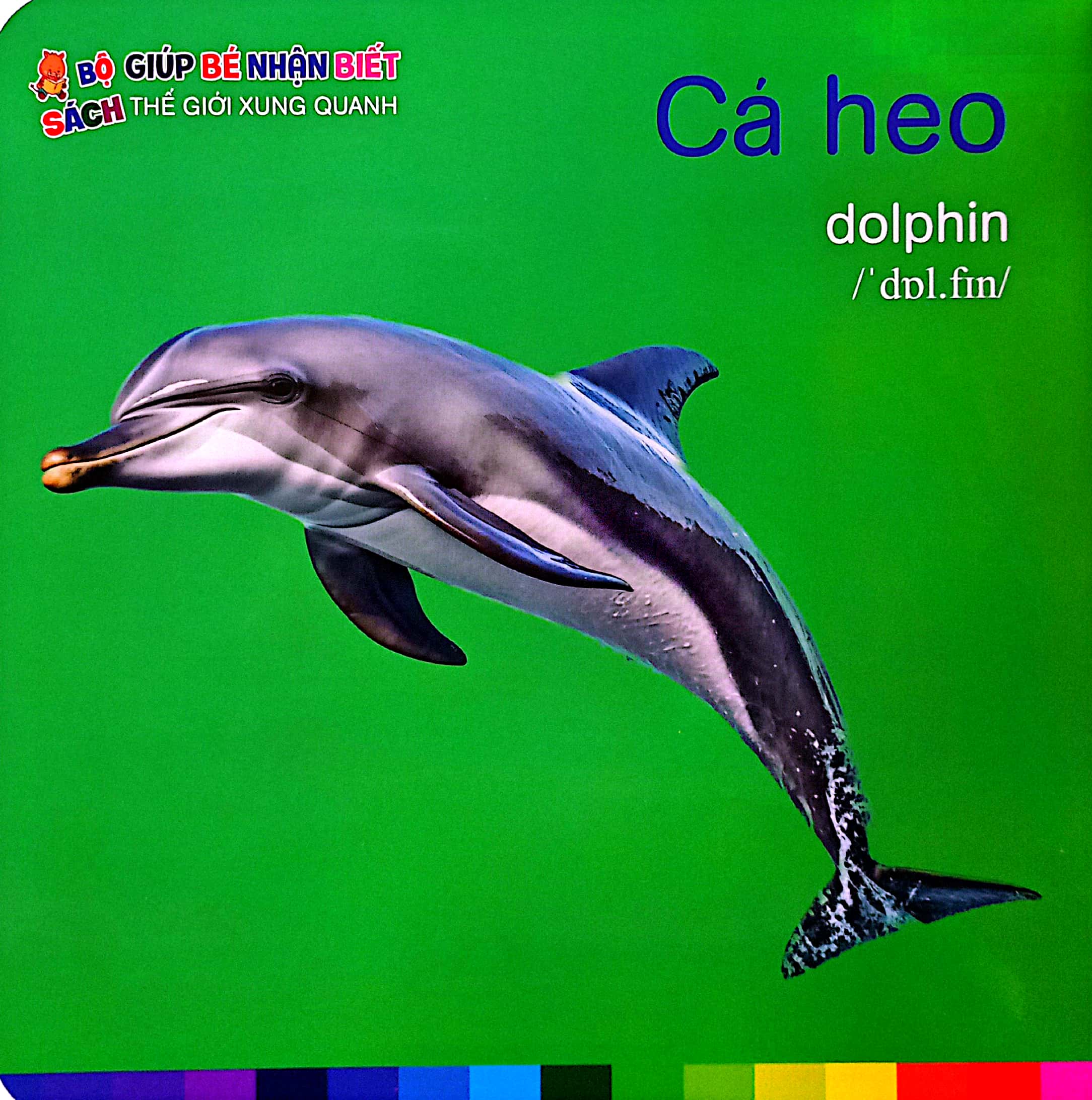 bé nhận biết thế giới xung quanh - động vật dưới biển - sea animals